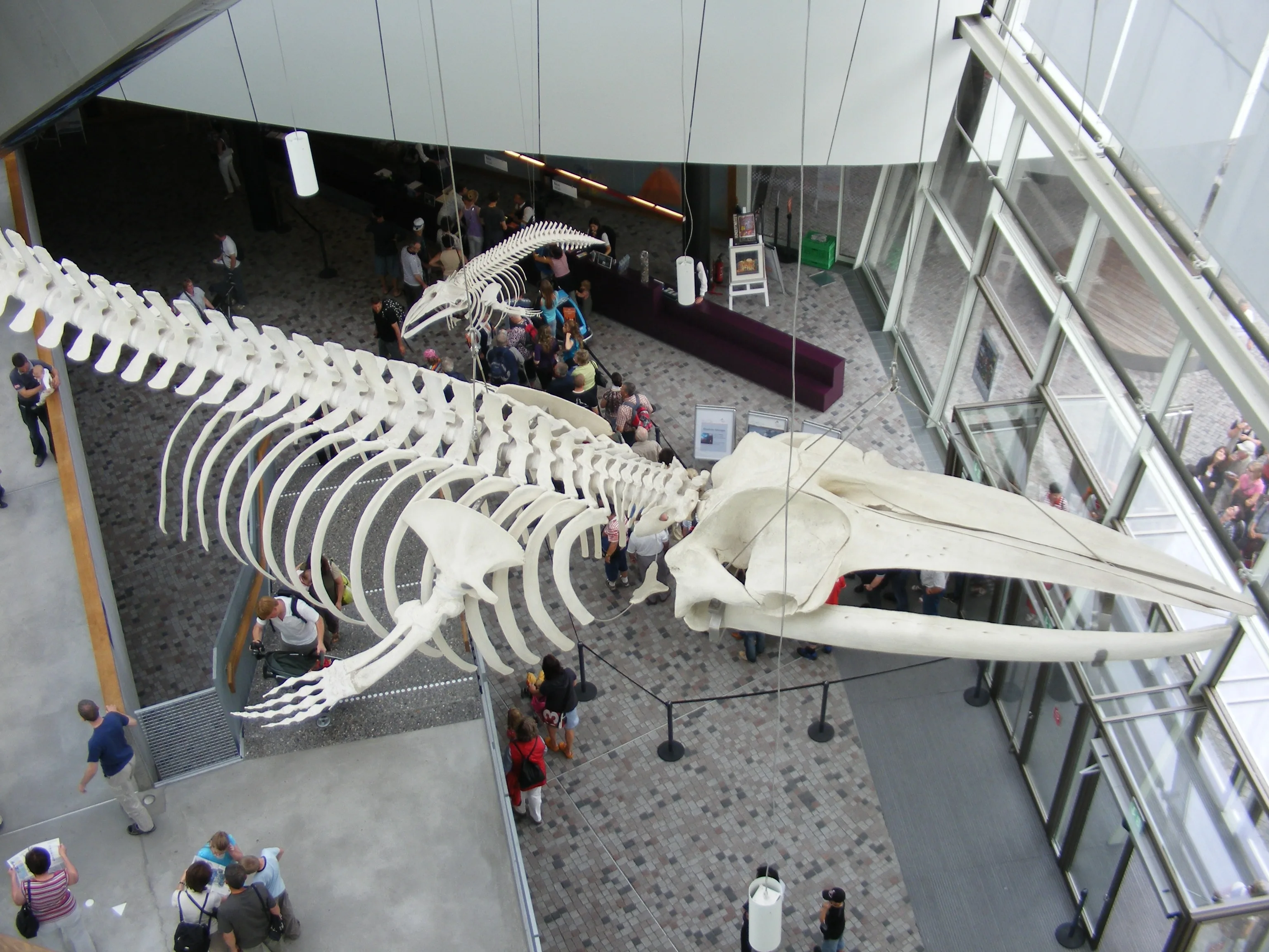 OZEANEUM Stralsund